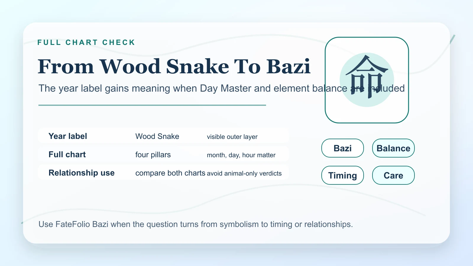 Wood Snake Chinese zodiac year as one layer inside a Bazi chart